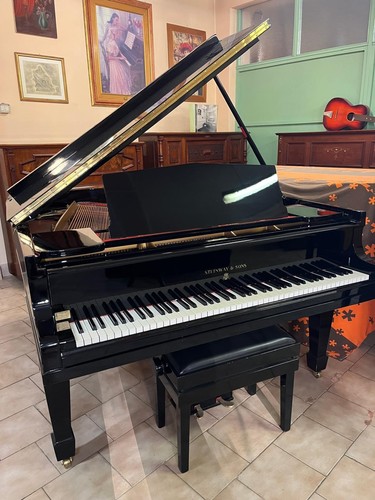 Pianoforte mezza coda steiway - coda,
