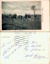 ROMA CITTA'-CACCIA ALLA VOLPE-C76-99