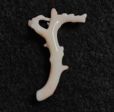 Ramo di vero corallo bianco