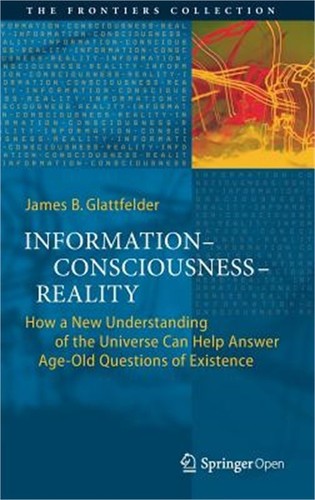 Information--Consciousness--Re