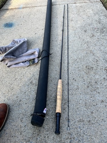 Rare loomis gl3 - rare, g