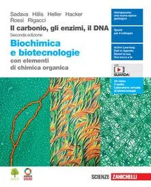 Carbonio gli enzimi dna - enzimi,