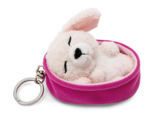 Portachiavi sleeping pets - portachiavi, cane