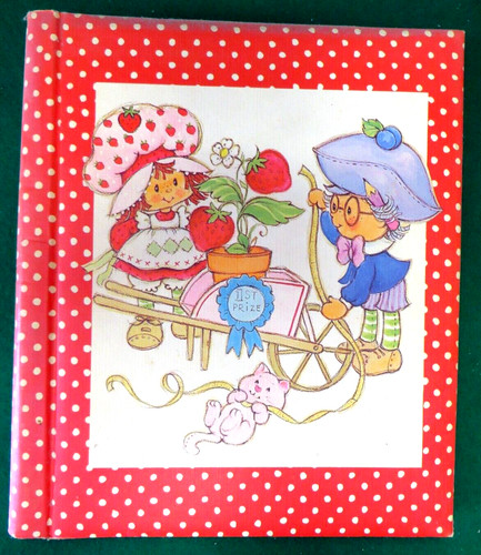 Album fotografie vintage - ,