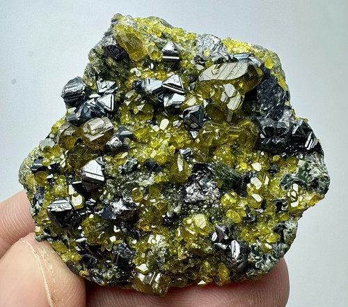 Bellissima unica - bellissima,