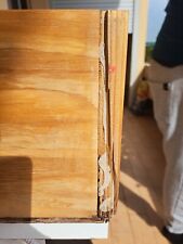 terrario per tartarughe