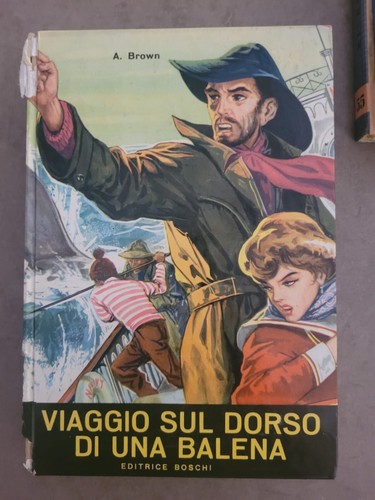 Viaggio sul dorso una - viaggio, di