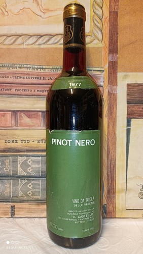 Vino 1977 pinot nero - vino,