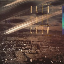 RAIN TREE CROW s/t RARE JAPAN  David Sylvian Jansen Barbieri Karn