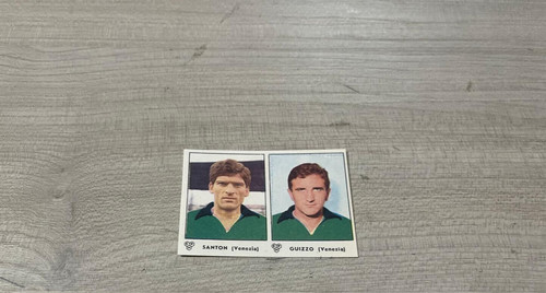 Figurina calciatori panini - figurina,