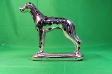 Ottaviani Magnitudo cane