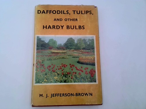 Daffodils tulips and other - daffodils,,