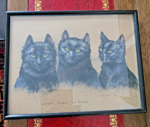 Ritratto pastello tre - tre, gatti