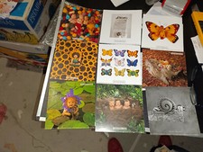 16 PICCOLE IMMAGINI ANNE