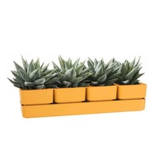 [6 COLORI] VASO IN PLASTICA