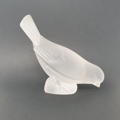 Lalique ucello cristallo - ucello,