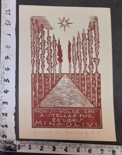 Wunderkammer exlibris 348 - an,