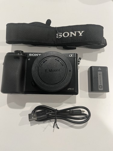 Sony a6000 megapixel - 24,3,