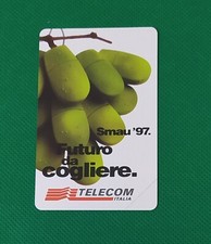 Scheda telefonica Nuova