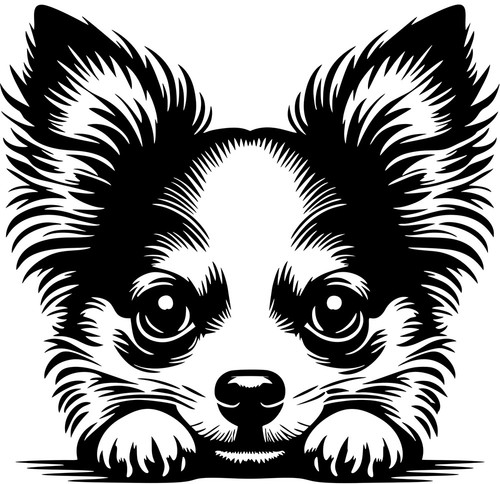 Adesivo chihuahua - chihuahua,