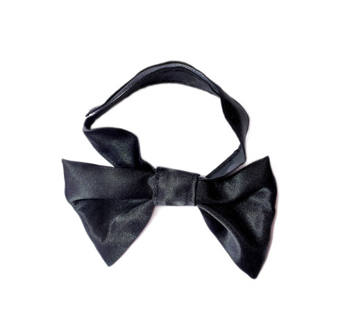 Papillon moda per cani raso - cani, in
