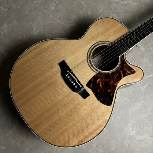 Chitarra elettrica acustica