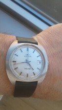 Mondia zenith littoral - zenith,