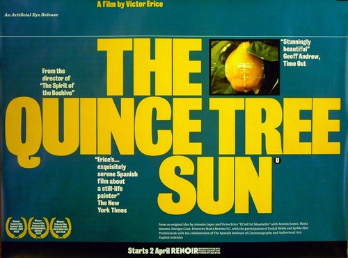 Quince tree sun 1992 victor - tree,