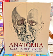 ANATOMIA SCUOLA DI DISEGNO