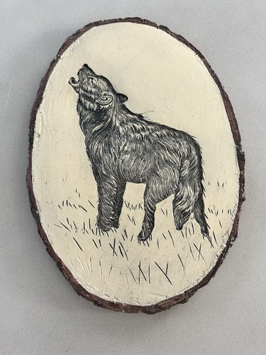 Lupo ululante disegno - , su