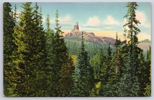 Cartolina epoca colorado - cartolina, d'epoca