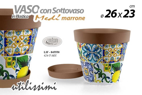 Vaso piante grasse - piante,