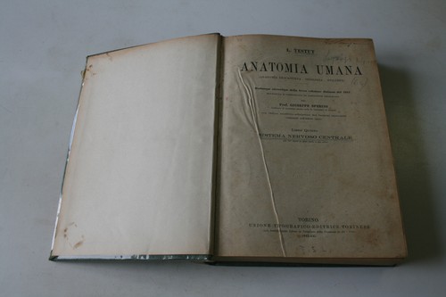 Anatomia umana testut - umana, di