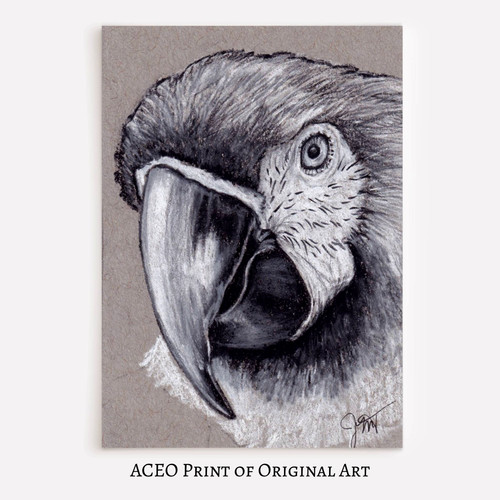 Stampa aceo arte - aceo, di