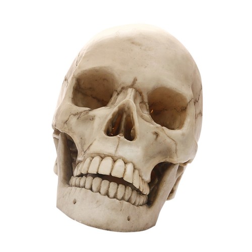 Lifesize 1 realistico - lifesize, 1: