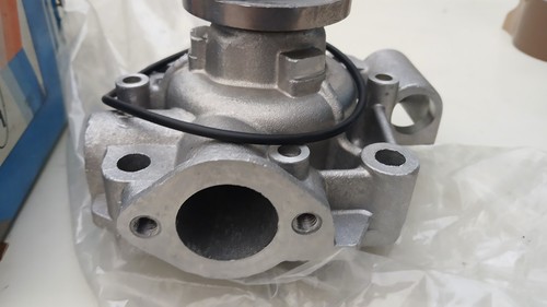 Pompa acqua nuova graf pa317 - pompa,