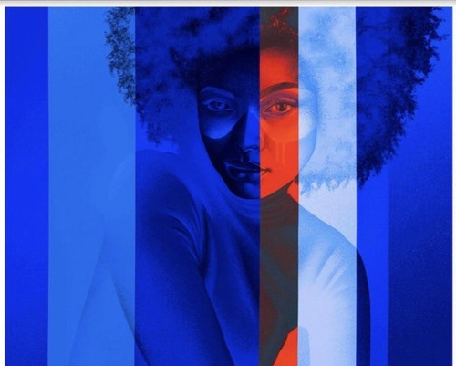 Fin dac flux - (2022), n