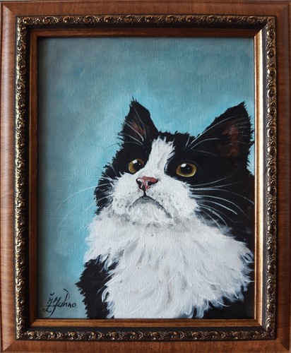 Quadro gatto bianco nero - quadro, e
