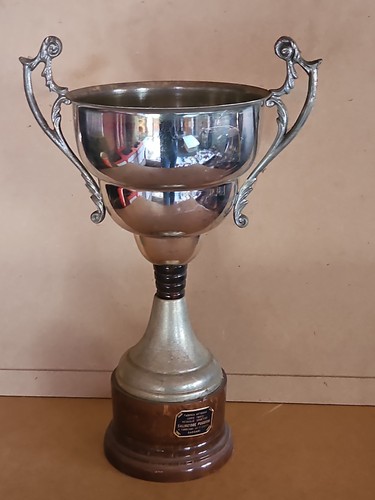 Coppa trofeo usata vintage - coppa,