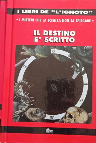 Destino scritto vicente - il,