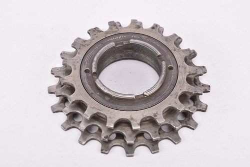 Regina soc italia catene - (soc.,