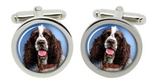Inglese Springer Spaniel