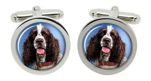 Inglese springer spaniel - springer,