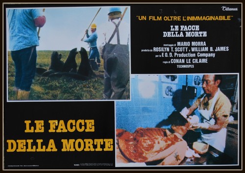 Fotobusta facce della - le, morte