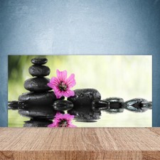 Splashback Paraschizzi