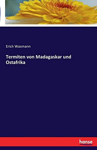 Termiten von madagaskar - termiten,