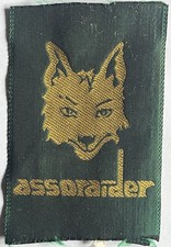 Scout Assoraider Promessa