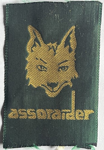 Scout assoraider promessa - assoraider,