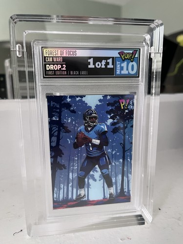 2025 wild card pop - pop, ward