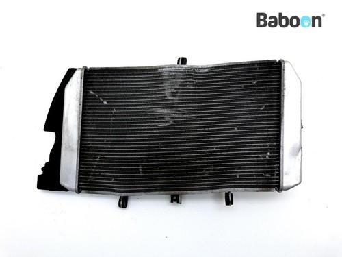 Radiator kawasaki 1000 sx - radiator,